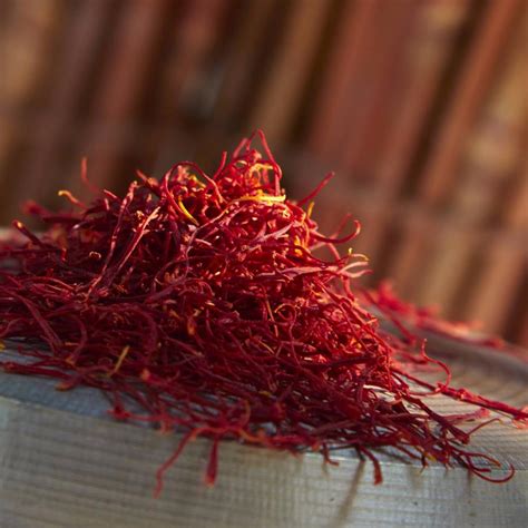 Saffron Growing Temperature - 5 Tips You Must Know