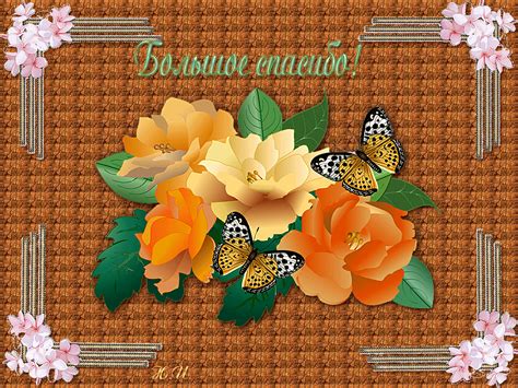 Рисунки открытки в Доме Солнца