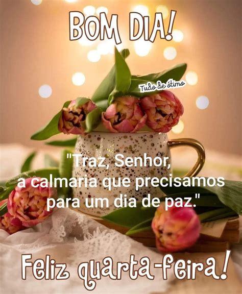 Pin em Feliz quarta-feira