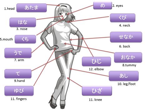 Body - Japanese Teaching Ideas