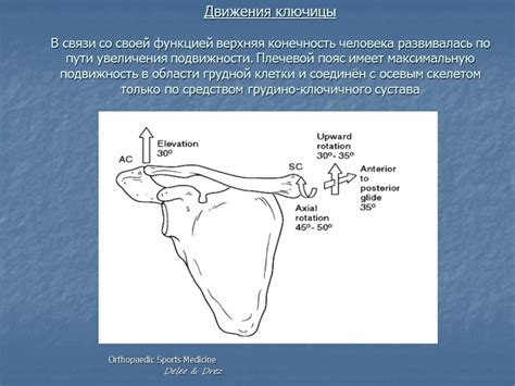 Опыт лечения переломов ключицы МУЗ ГКБ № 4