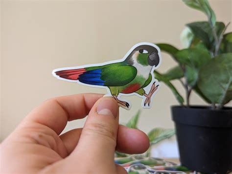 Cartoon Green Cheek Conure Vinyl Sticker - Etsy