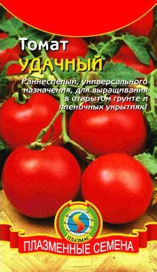 Томат Удачный: сорт, фото | Домашняя ферма