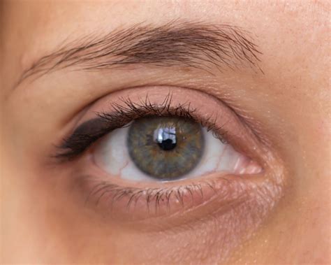 eye shapes smartbuyglasses uk