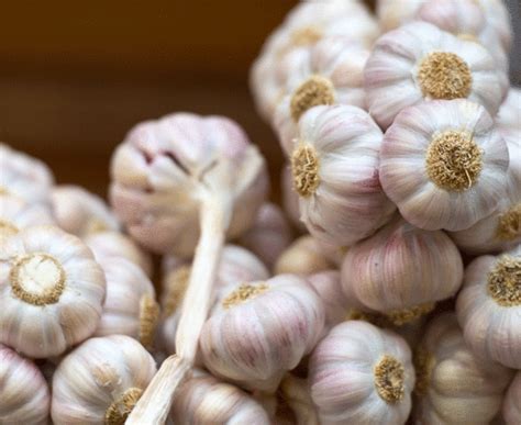 Immunity boosting foods that you need in February | Express.co.uk