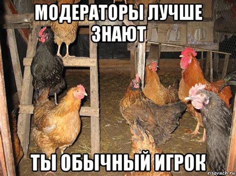 Мемы курицы - Рисовач .Ру