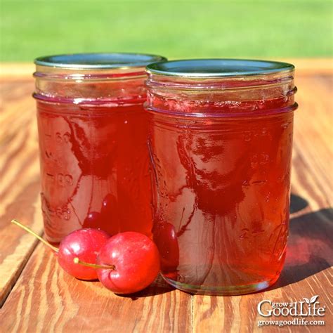 Ball Canning Apple Jelly Recipe | Deporecipe.co