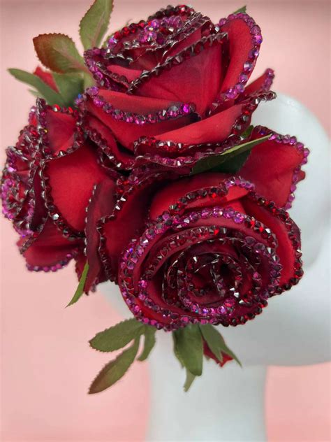 Meet Nicolle Saccone Henry – CanvasRebel Magazine