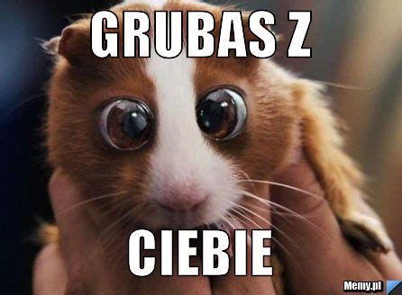 Grubas z ciebie - Memy.pl