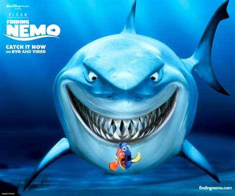 Funny Nemo Cartoon Images | Image Wallpaper Collections