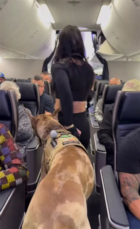 Passengers stunned after 'rude' influencer brings massive beast onto