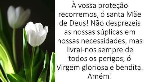 A Vossa Proteção Recorremos - A Mão da Vida: À vossa proteção recorremos
