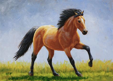 Buckskin Horse Images