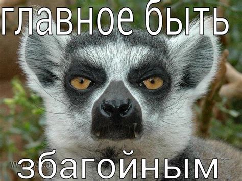 Прикольные картинки "Узбагойся!" (43 фото)
