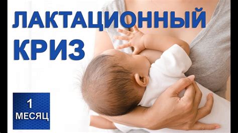 Лактационный криз - нехватка молока новорожденному 1 месяц жизни - YouTube