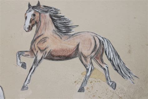 drawing horses 2