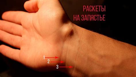 Линии на запястье (браслеты): что означают, где находятся, как выглядят