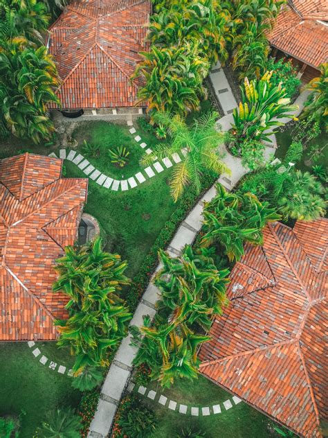 Discovery - A new app is being developed in Costa Rica that will help ...