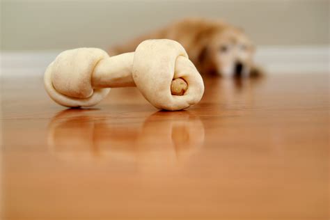 Is Beef Rawhide Good For Dogs