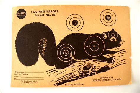 Squirrel Target Printable - Educational Printable Activities