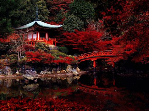 Japanese Outdoor Garden at John Schmidt blog