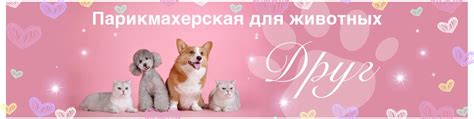 ДРУГ Парикмахерская для животных | Парикмахерская для животных «Друг ...