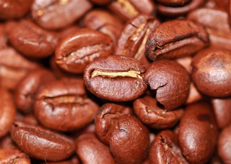 Free Coffee beans - Image