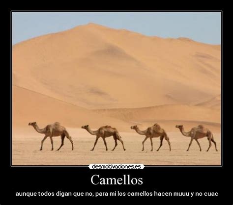 Usuario: klin_350 | Desmotivaciones