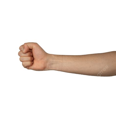 arm png vector psd  clipart  transparent background