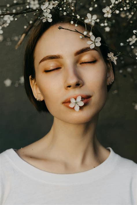 small tree      small tree stock  hd