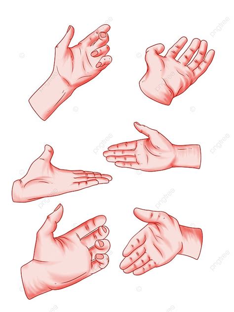 gesture illustration png picture palm  gesture illustration