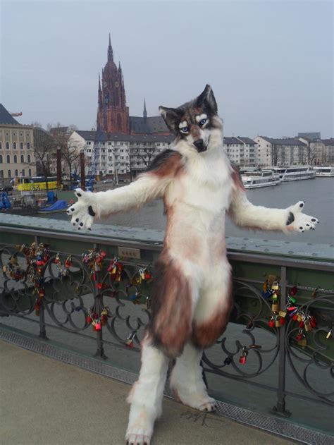 Finished Wolf Fursuit by zyxwen on DeviantArt