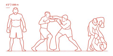 UFC Octagon Dimensions & Drawings | Dimensions.com