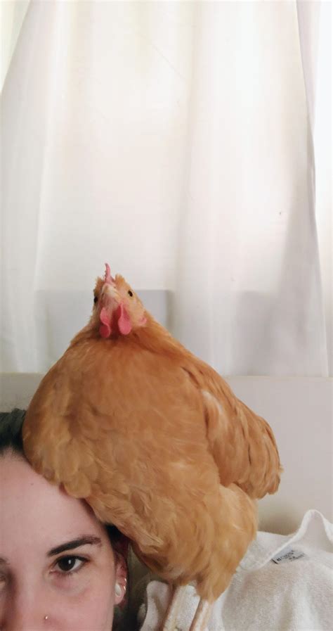 Throw back of Linda! Quarantine still going on here! Linda never stops