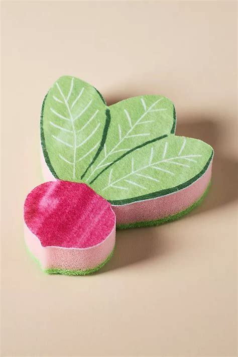 fruit shaped sponge anthroliving