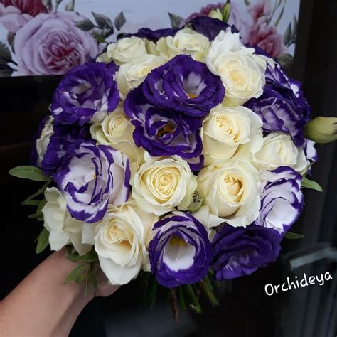 Весільні букети | Flowers, Rose, Plants