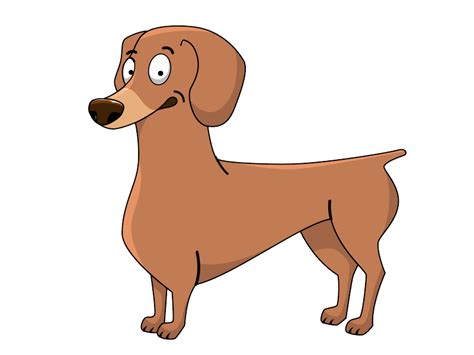 Такса PNG