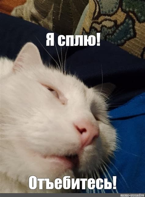 Meme: "Я сплю! Отъебитесь!" - All Templates - Meme-arsenal.com