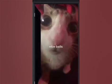 nice balls💀 - YouTube