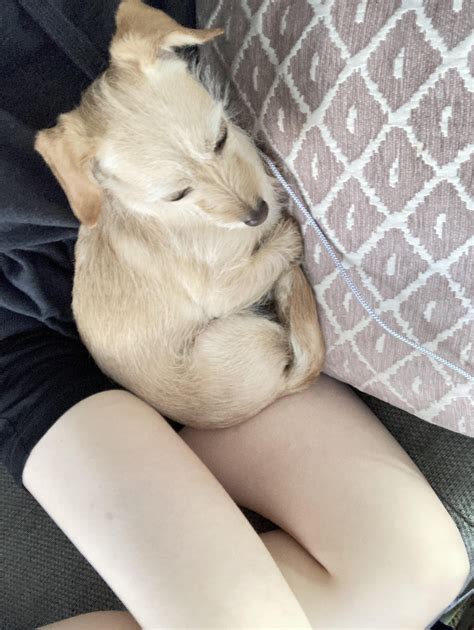 does this actually look like me? :^ : r/picrew