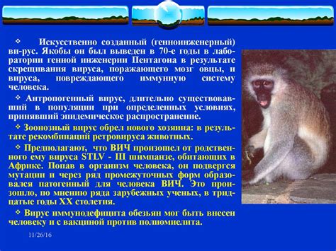 ВИЧ - инфекция - online presentation