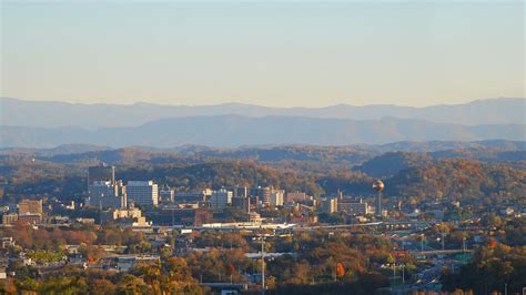 Knoxville Craigslist's Hidden World: Uncovering The Most Bizarre Listings Image 4