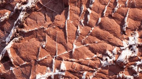 144 Argillite Rocks Images, Stock Photos, 3D objects, & Vectors ...