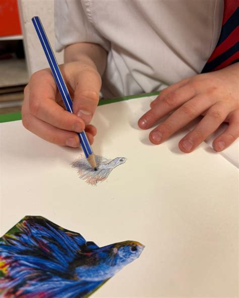 Westbourne School added a new photo —... - Westbourne School