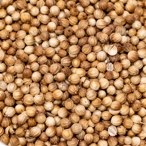 Whole Coriander Seeds