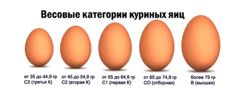 Категории куриных яиц: классификация, чем отличаются, размеры