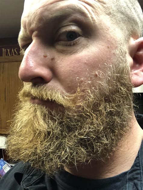 Blonde beard comes out more under fluorescent lights. : r/beards