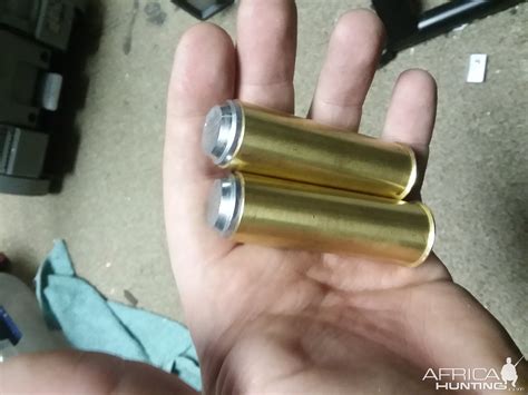 hornady cx vs barnes ttsx
