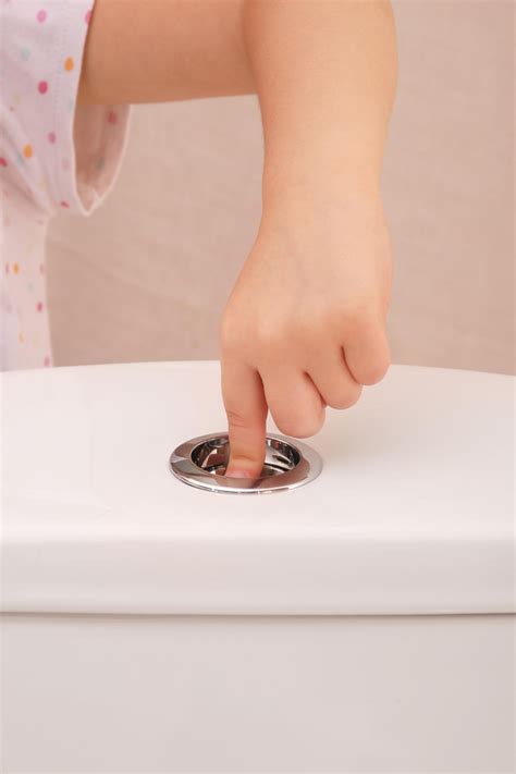 dual flush  single flush     toilet artofit