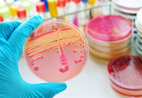 Harnessing Artificial Intelligence to Tackle Antimicrobial Resistance